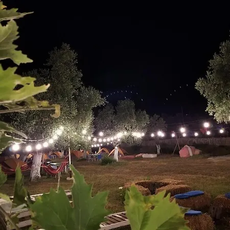 Waveside Campsite Borsh