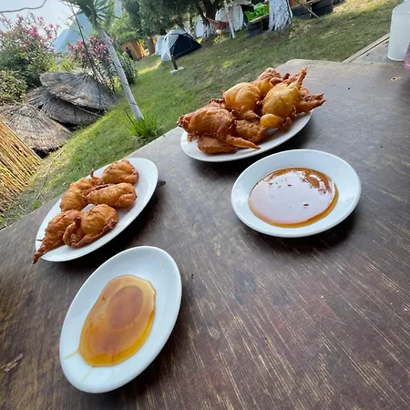 Campsite Waveside Borsh