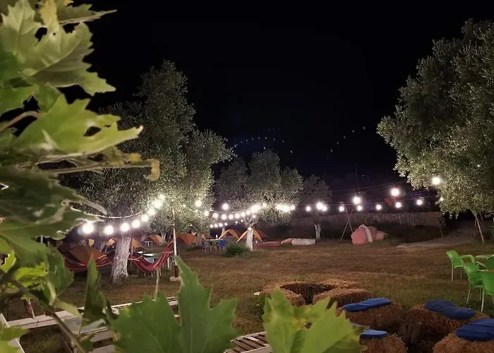 Waveside Kamp alanı Borş