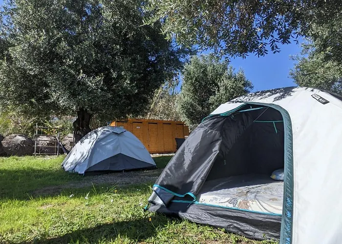 Waveside Kamp alanı *