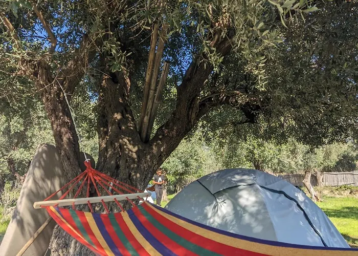 Kamp alanı Waveside