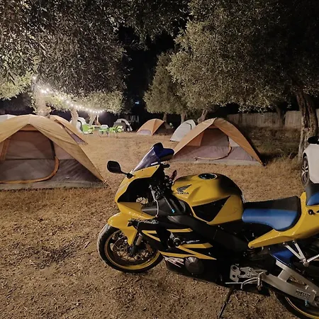 Waveside Kamp alanı