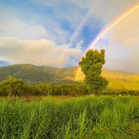 Parque de Campismo Waveside *