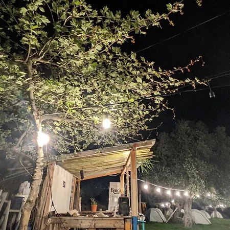 אתר קמפינג Waveside *