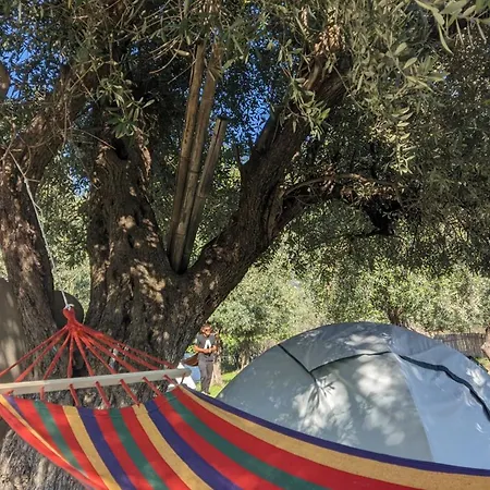 Campsite Waveside