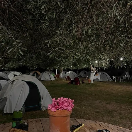 Kamp alanı Waveside Borş