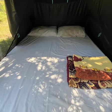 Kamp alanı Waveside