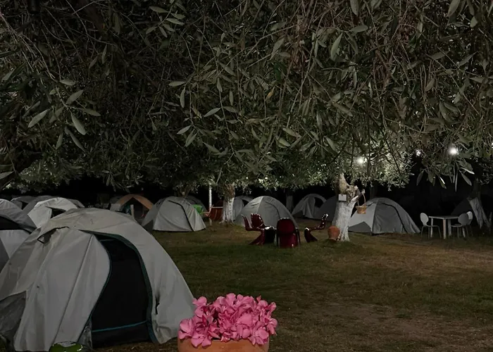 Camping Waveside Borsh